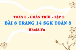 Bài 8 trang 14 Toán 8 Chân trời sáng tạo Tập 2